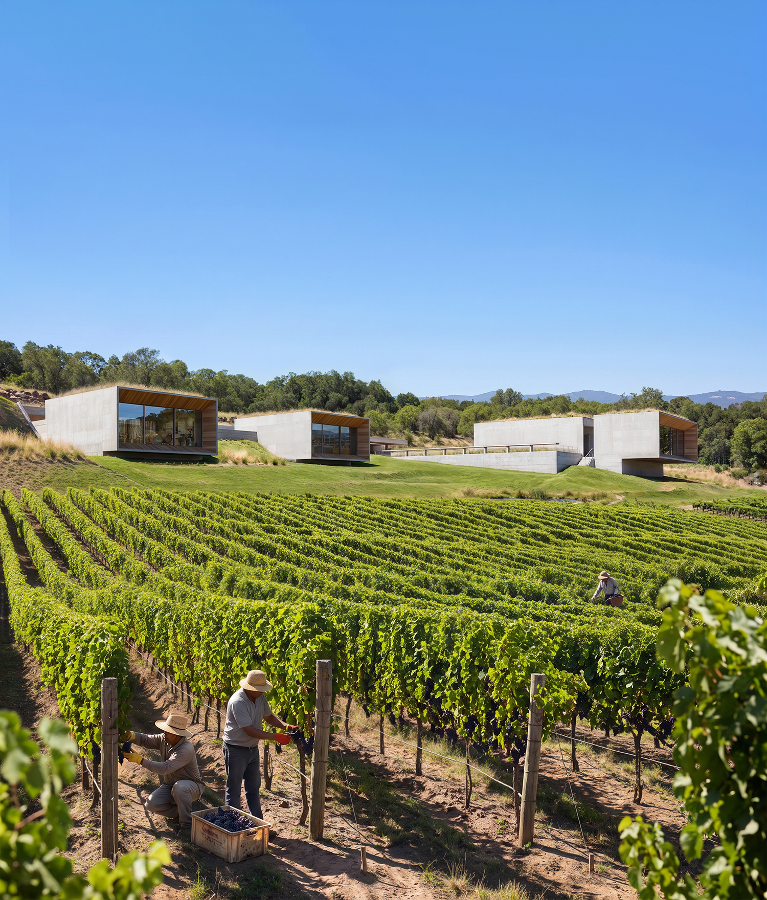 Winery